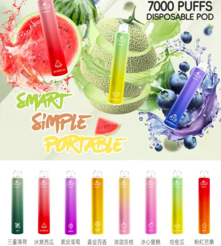 LIMI 7000口 抛棄式/一次性霧化棒 可充電電子煙